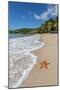 A Starfish Transported by Waves Lying Motionless on Carlisle Bay-Roberto Moiola-Mounted Photographic Print