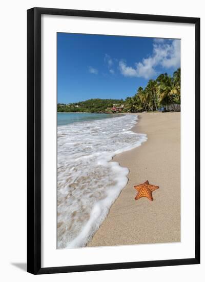 A Starfish Transported by Waves Lying Motionless on Carlisle Bay-Roberto Moiola-Framed Photographic Print