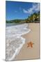 A Starfish Transported by Waves Lying Motionless on Carlisle Bay-Roberto Moiola-Mounted Photographic Print