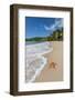 A Starfish Transported by Waves Lying Motionless on Carlisle Bay-Roberto Moiola-Framed Photographic Print