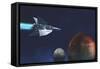 A Starship from Earth Travels to a Red Planet-null-Framed Stretched Canvas