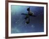 A Starship from Earth with Ion Drive Propulsion Explores the Cosmos-null-Framed Art Print