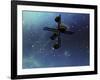 A Starship from Earth with Ion Drive Propulsion Explores the Cosmos-null-Framed Art Print