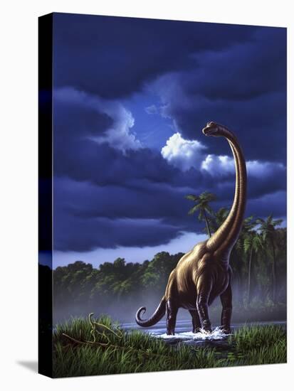 A Startled Brachiosaurus Splashes Through a Swamp Against a Stormy Sky-null-Stretched Canvas