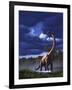 A Startled Brachiosaurus Splashes Through a Swamp Against a Stormy Sky-null-Framed Art Print