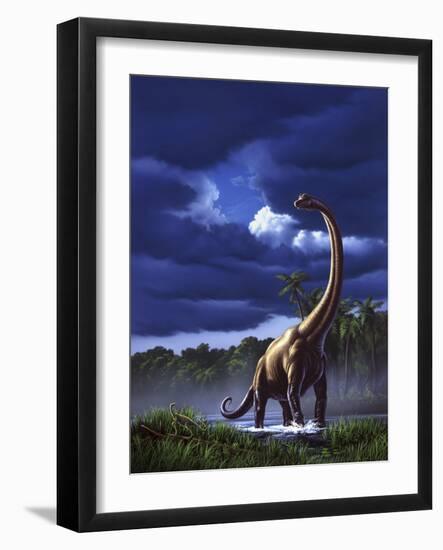 A Startled Brachiosaurus Splashes Through a Swamp Against a Stormy Sky-null-Framed Art Print