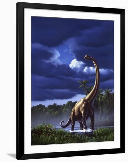 A Startled Brachiosaurus Splashes Through a Swamp Against a Stormy Sky-null-Framed Art Print