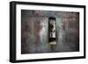 A Statue Through a Window in a Bas Relief Covered Wall in the Tomb of Ti-Alex Saberi-Framed Photographic Print