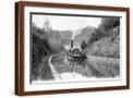 Brown Frame