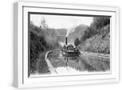 White Frame