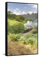A steam locomotive approaching Goathland from Grosmont in September 2016, North Yorkshire, England-John Potter-Framed Stretched Canvas