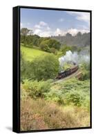 A steam locomotive approaching Goathland from Grosmont in September 2016, North Yorkshire, England-John Potter-Framed Stretched Canvas