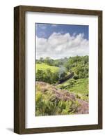 A Steam Locomotive Pulling Carriages Through Darnholme on North Yorkshire Steam Heritage Railway-John Potter-Framed Photographic Print