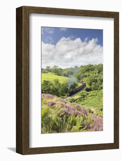 A Steam Locomotive Pulling Carriages Through Darnholme on North Yorkshire Steam Heritage Railway-John Potter-Framed Photographic Print