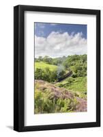 A Steam Locomotive Pulling Carriages Through Darnholme on North Yorkshire Steam Heritage Railway-John Potter-Framed Photographic Print