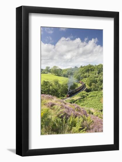 A Steam Locomotive Pulling Carriages Through Darnholme on North Yorkshire Steam Heritage Railway-John Potter-Framed Photographic Print