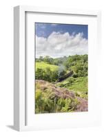 A Steam Locomotive Pulling Carriages Through Darnholme on North Yorkshire Steam Heritage Railway-John Potter-Framed Photographic Print