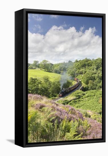 A Steam Locomotive Pulling Carriages Through Darnholme on North Yorkshire Steam Heritage Railway-John Potter-Framed Stretched Canvas