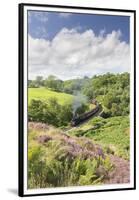 A Steam Locomotive Pulling Carriages Through Darnholme on North Yorkshire Steam Heritage Railway-John Potter-Framed Premium Photographic Print