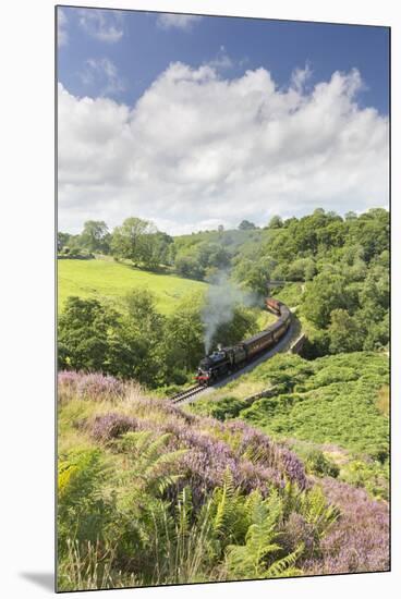 A Steam Locomotive Pulling Carriages Through Darnholme on North Yorkshire Steam Heritage Railway-John Potter-Mounted Premium Photographic Print