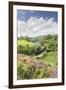 A Steam Locomotive Pulling Carriages Through Darnholme on North Yorkshire Steam Heritage Railway-John Potter-Framed Photographic Print