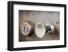 A Steampunk Style Retro Choke Knob - Shallow Depth Of Field-leaf-Framed Photographic Print