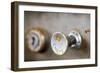 A Steampunk Style Retro Choke Knob - Shallow Depth Of Field-leaf-Framed Photographic Print