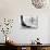 A Steel Worker Rests on a Girder at the 86th Floor of the New Empire State Building-null-Stretched Canvas displayed on a wall