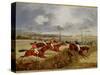 A Steeplechase, Near the Finish-Henry Thomas Alken-Stretched Canvas