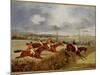 A Steeplechase, Near the Finish-Henry Thomas Alken-Mounted Giclee Print