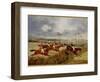 A Steeplechase, Near the Finish-Henry Thomas Alken-Framed Giclee Print