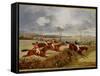 A Steeplechase, Near the Finish-Henry Thomas Alken-Framed Stretched Canvas