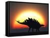 A Stegosaurus Silhouetted Against the Setting Sun at the End of a Prehistoric Day-Stocktrek Images-Framed Stretched Canvas