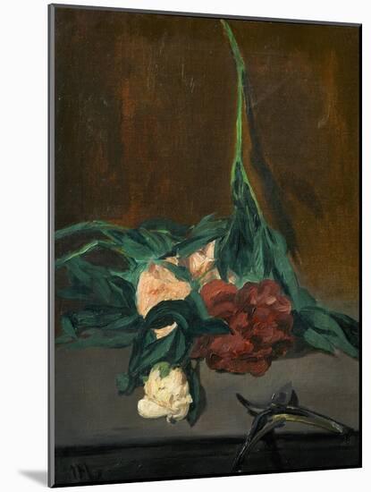 A Stem of Peonies and Pruning Shears, 1864-Edouard Manet-Mounted Giclee Print