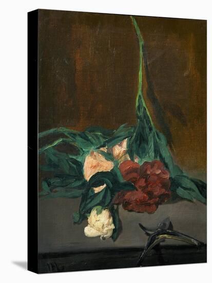 A Stem of Peonies and Pruning Shears, 1864-Edouard Manet-Stretched Canvas