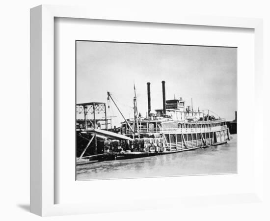 A Stern-Wheeler Loaded with Cotton Bales at New Orleans, C.1900 (B/W Photo)-American-Framed Giclee Print