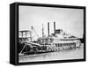 A Stern-Wheeler Loaded with Cotton Bales at New Orleans, C.1900 (B/W Photo)-American-Framed Stretched Canvas