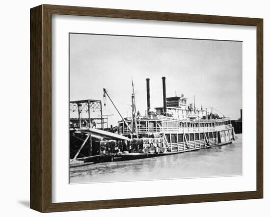 A Stern-Wheeler Loaded with Cotton Bales at New Orleans, C.1900 (B/W Photo)-American-Framed Giclee Print