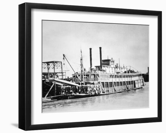 A Stern-Wheeler Loaded with Cotton Bales at New Orleans, C.1900 (B/W Photo)-American-Framed Giclee Print