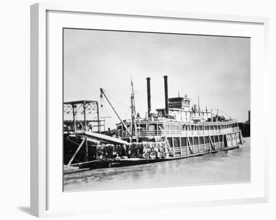 A Stern-Wheeler Loaded with Cotton Bales at New Orleans, C.1900 (B/W Photo)-American-Framed Giclee Print