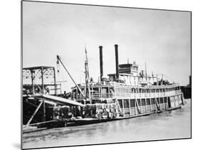 A Stern-Wheeler Loaded with Cotton Bales at New Orleans, C.1900 (B/W Photo)-American-Mounted Giclee Print