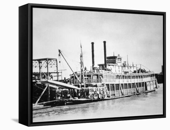 A Stern-Wheeler Loaded with Cotton Bales at New Orleans, C.1900 (B/W Photo)-American-Framed Stretched Canvas