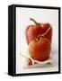 A Still Life Featuring a Red Pepper, a Tomato and a Red Chilli-Michael Wissing-Framed Stretched Canvas