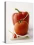 A Still Life Featuring a Red Pepper, a Tomato and a Red Chilli-Michael Wissing-Stretched Canvas