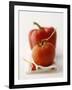 A Still Life Featuring a Red Pepper, a Tomato and a Red Chilli-Michael Wissing-Framed Photographic Print