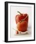 A Still Life Featuring a Red Pepper, a Tomato and a Red Chilli-Michael Wissing-Framed Photographic Print