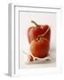 A Still Life Featuring a Red Pepper, a Tomato and a Red Chilli-Michael Wissing-Framed Photographic Print