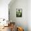 A Still Life Featuring Assorted Fresh Vegetables from the Garden on an Old Green Table-Sabine Löscher-Framed Stretched Canvas displayed on a wall