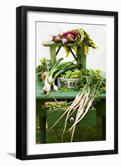 A Still Life Featuring Assorted Fresh Vegetables from the Garden on an Old Green Table-Sabine Löscher-Framed Photographic Print