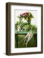 A Still Life Featuring Assorted Fresh Vegetables from the Garden on an Old Green Table-Sabine Löscher-Framed Photographic Print